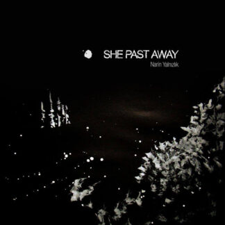 SHE PAST AWAY - narin yalnizlik - VINYL LP (black)