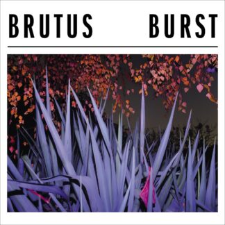 BRUTUS - burst - VINYL LP (black)