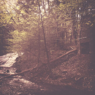 CAVE DWELLER - walter goodman (or an empty cabin in the woods) - CD digipack
