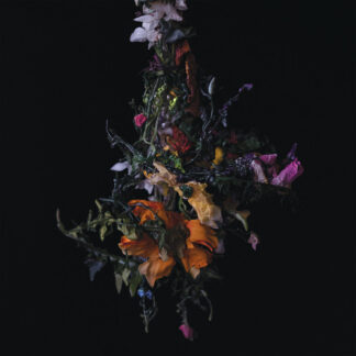 BIG BRAVE - nature morte - CD digisleeve