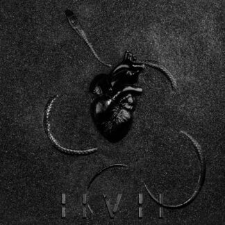 IIVII - obsidian - VINYL LP (grey and black swirl)