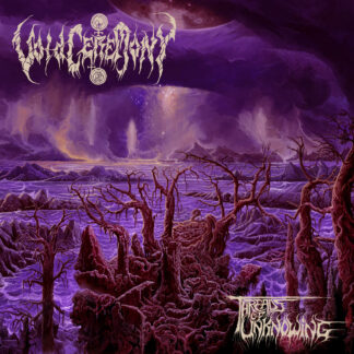 VOIDCEREMONY - threads of unknowing- CD