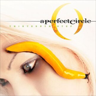 A PERFECT CIRCLE - thirteenth step - VINYL 2xLP (black)