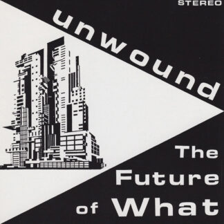 UNWOUND - the future of what - VINYL LP (black)