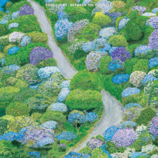 FIDDLEHEAD - between the richness - VINYL LP (solid violet)