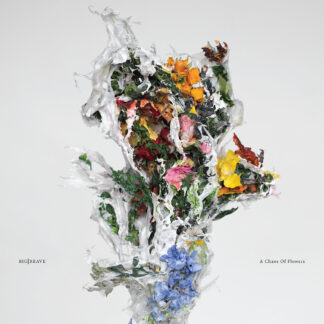 BIG BRAVE - a chaos of flowers - CD digisleeve
