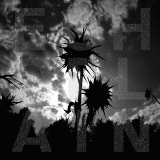 ECHOPLAIN - in bones - VINYL LP (black)