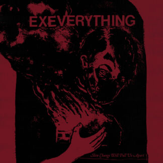 EX EVERYTHING - slow change will pull us apart - VINYL LP (black and red swirl)