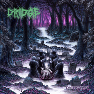 DRIDGE - dying out - VINYL 2xLP (black)