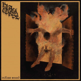 BLACK CURSE - endless wound - CD digipack