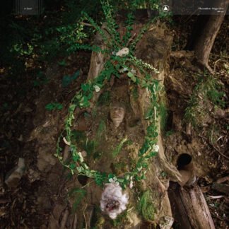 PHARMAKON - maggot mass - CD