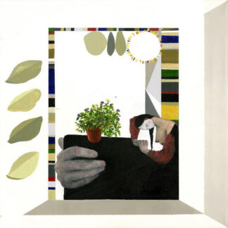 TURNOVER - magnolia - VINYL LP (leafy green)