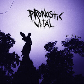 PRONOSTIC VITAL - en perdition - VINYL LP (black)