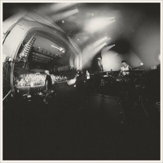 AND SO I WATCH YOU FROM AFAR - megafauna - VINYL LP (black)