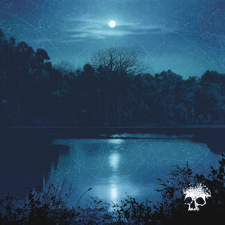 PLANES MISTAKEN FOR STARS - do you still love me? - VINYL LP (transparent ice blue)