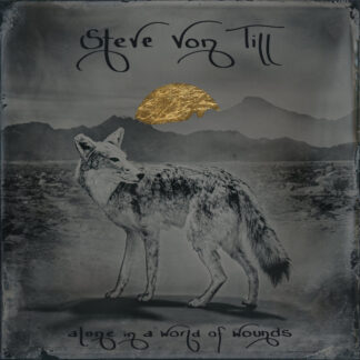 VON TILL, STEVE - alone in a world of wounds - VINYL LP (grey marbled)