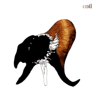COIL - black antlers - VINYL 2xLP (clear)