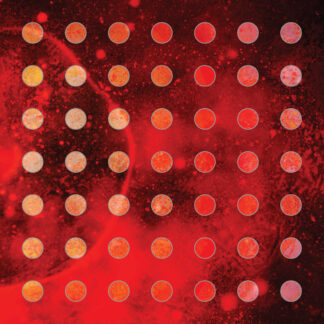 CAVE IN - creative eclipses - VINYL LP (transparent red)