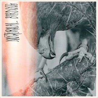 AUTHOR AND PUNISHER - nocturnal birding - CD