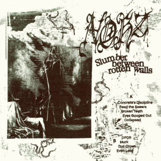 NOHZ - slumber between rotten walls - VINYL LP (black)