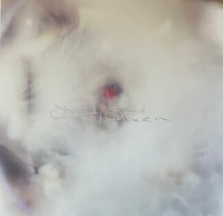 GLIXEN - she only said - VINYL LP (black)