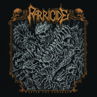 PARRICIDE - after the funeral - VINYL 2xLP (black)