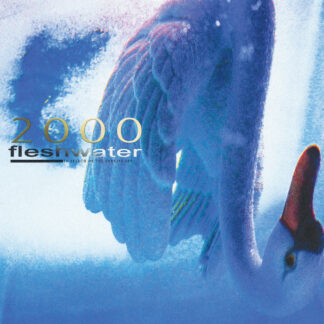 FLESHWATER - 2000: in search of the endless sky - VINYL LP (metallic blue)