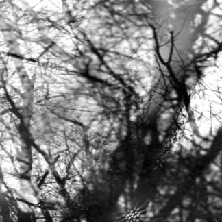 GROUPER - way their crept - VINYL LP (black)