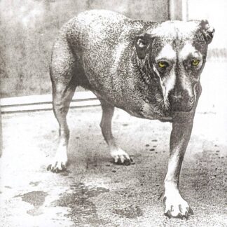 ALICE IN CHAINS - alice in chains - VINYL 2xLP (solid yellow)