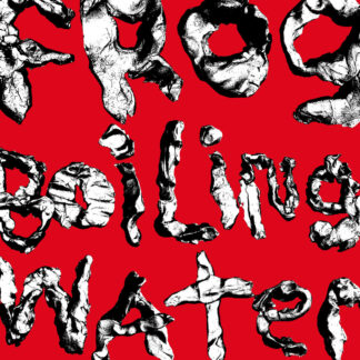 DIIV - frog in boiling water - VINYL LP (white)