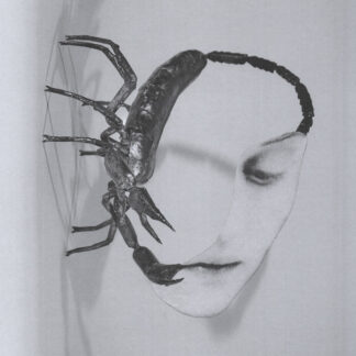 TORTOISE - touch - VINYL LP (black)