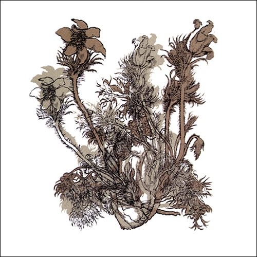 CHEVAL DE FRISE - fresques sur les parois secretes du crane - VINYL LP (white)