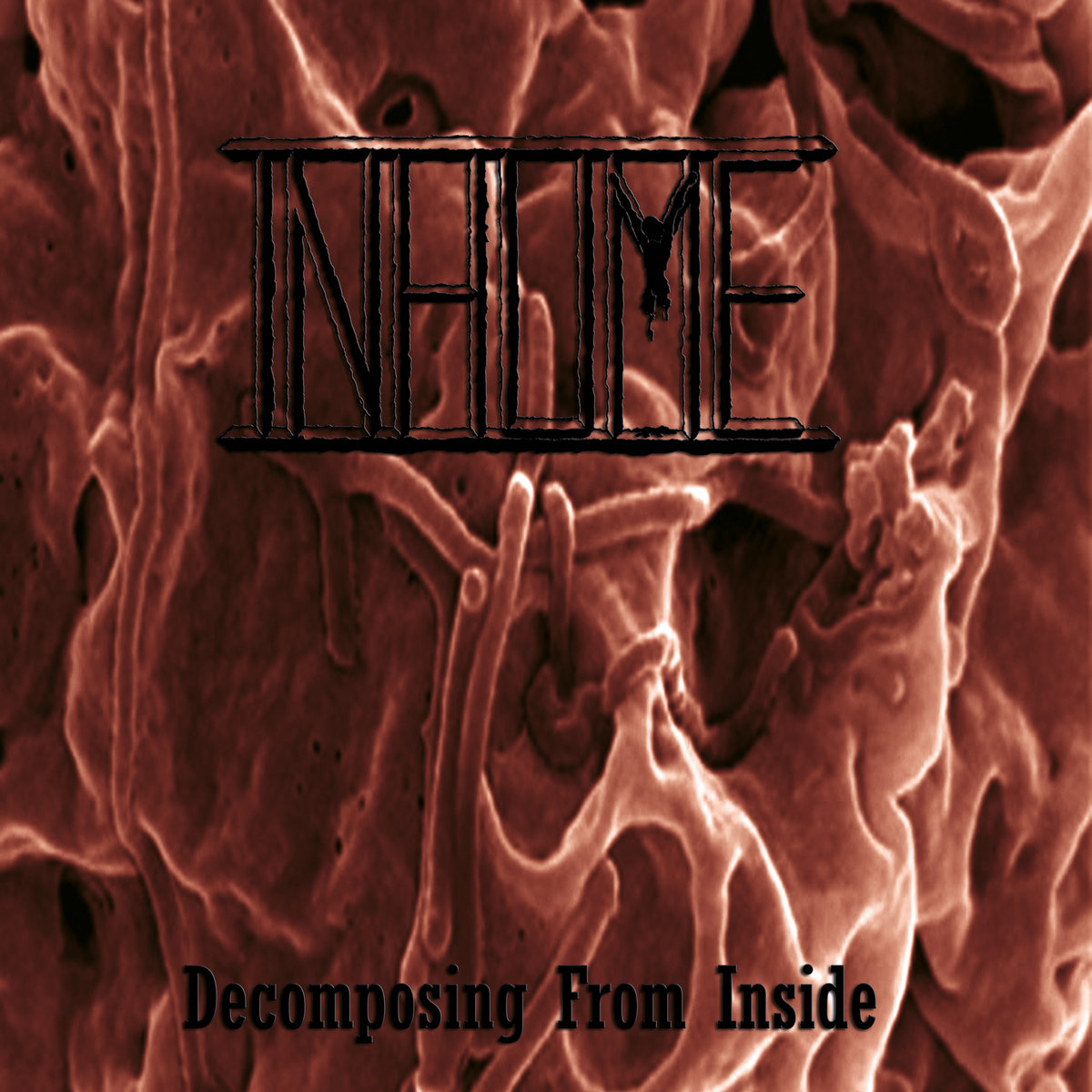 INHUME - decomposing from inside - VINYL LP (oxblood and bone)