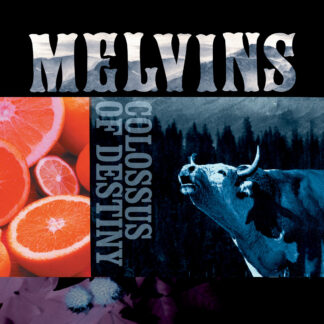 MELVINS, THE - colossus of destiny - VINYL 2xLP (solid purple)