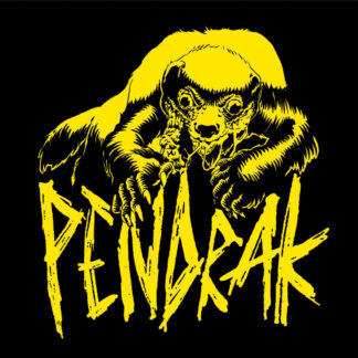 PENDRAK - pendrak - VINYL LP (black)