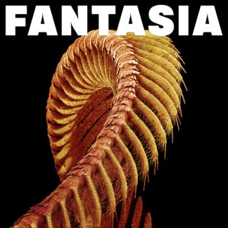 SLIFT - fantasia - CD digisleeve