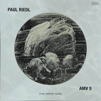 RIEDL, PAUL - ambient mixtape vol. 5 (the water tape) - VINYL 2xLP (black)
